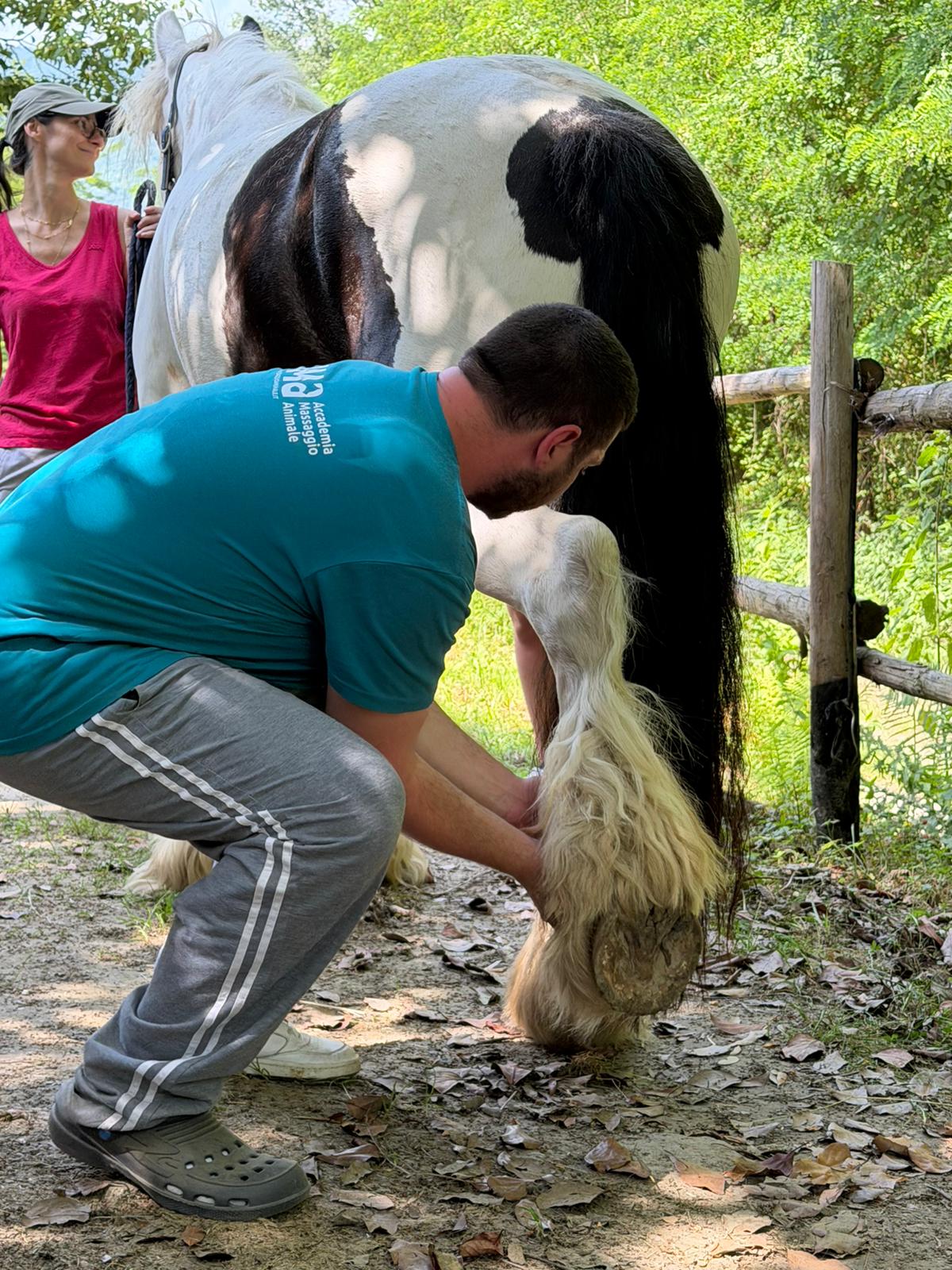 Dettaglio del lavoro manuale sull'arto del cavallo.